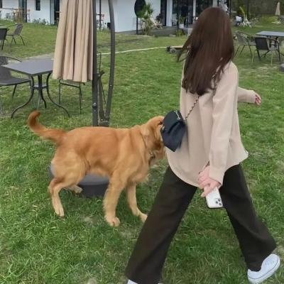 我为养生狂